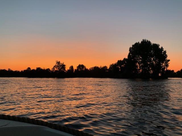 Holiday Home At The Water, Fire Place, Boat And Sup Rent, Near Amsterdam アールスメール エクステリア 写真
